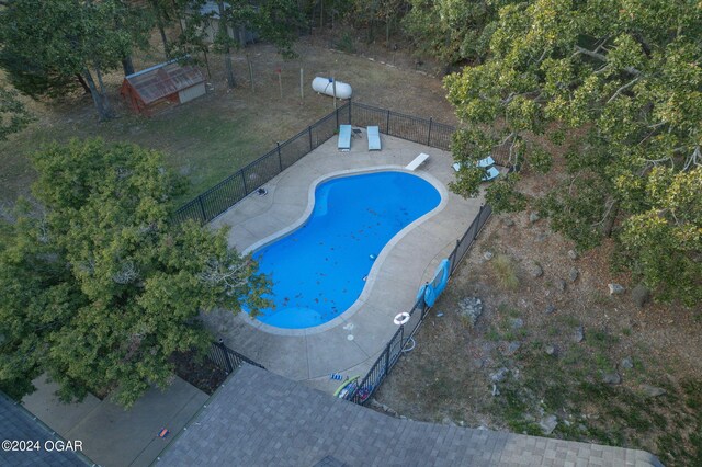 view of pool with a diving board and a patio