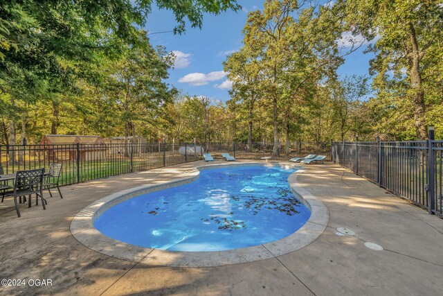 view of pool with a patio