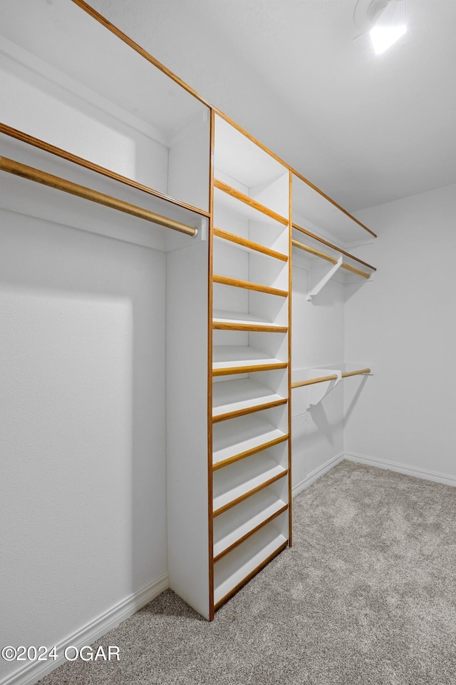 spacious closet featuring carpet flooring