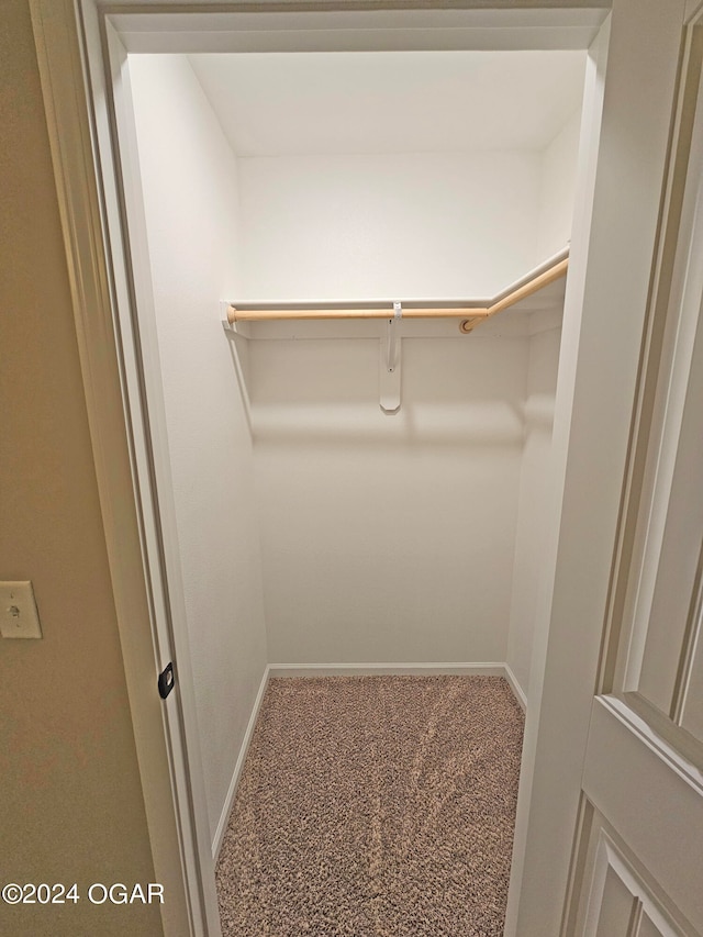 spacious closet featuring carpet