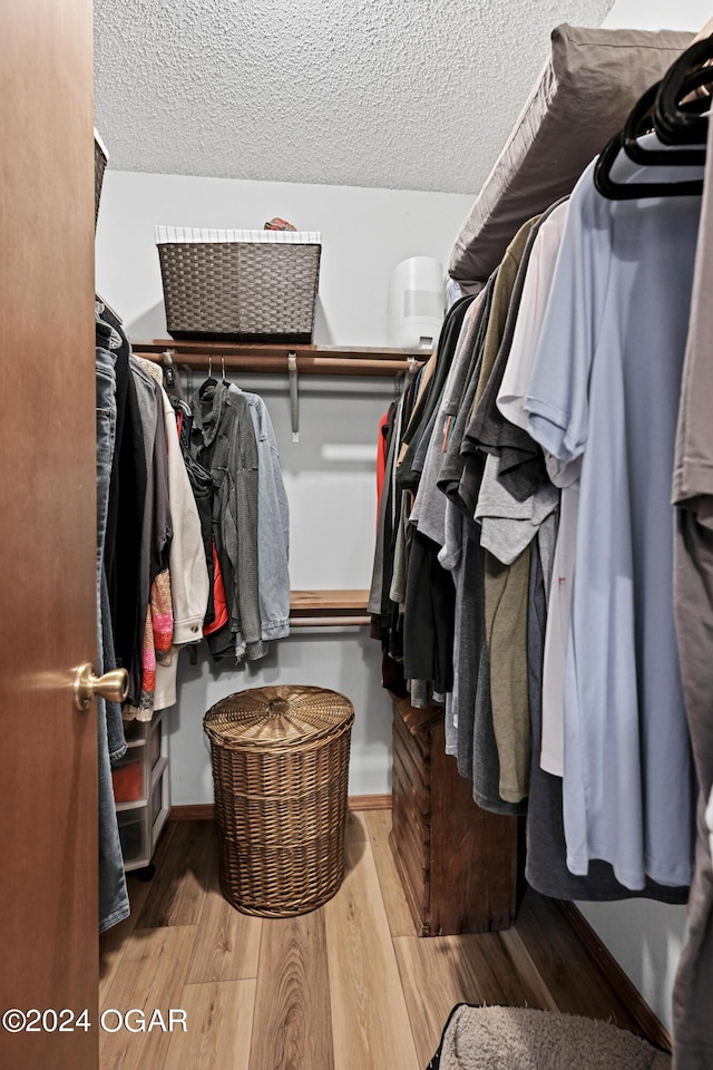 walk in closet with light wood-type flooring