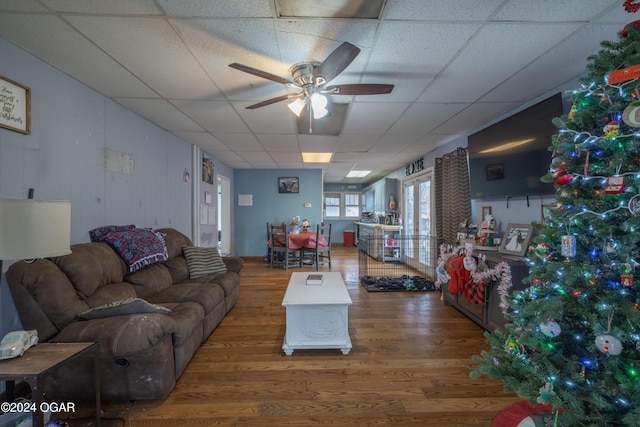 living room featuring ceiling fan, a drop ceiling, and dark wood-type flooring