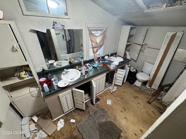 interior space featuring lofted ceiling, sink, and dark hardwood / wood-style flooring