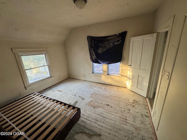 additional living space featuring light hardwood / wood-style floors and lofted ceiling