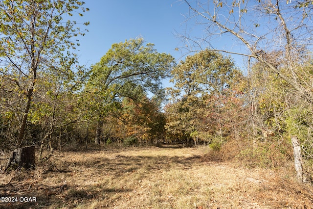 view of nature