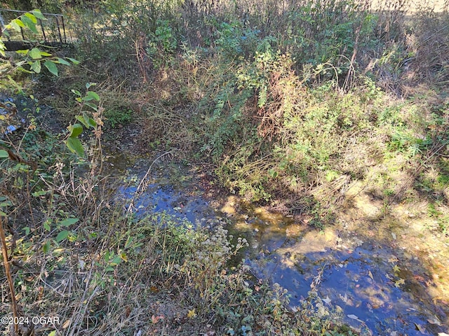 view of nature featuring a water view