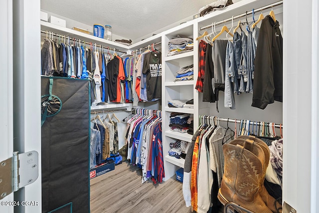 walk in closet with hardwood / wood-style floors