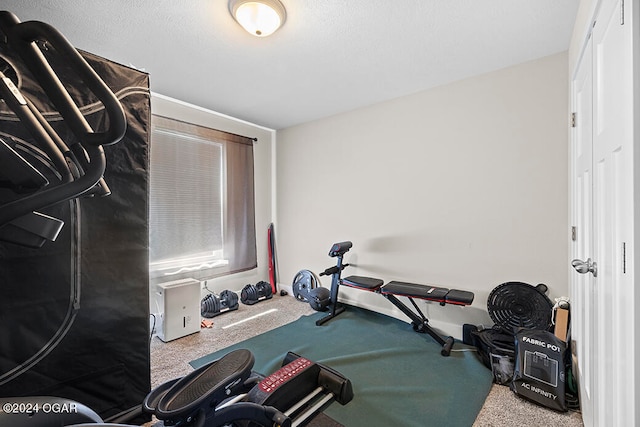 workout area with carpet flooring