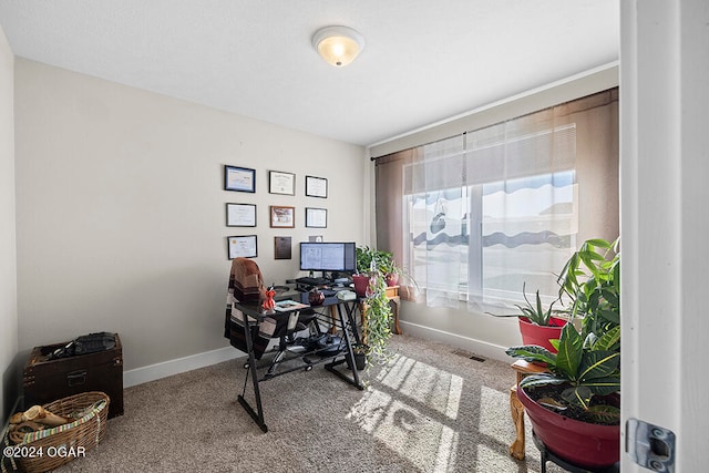 home office with light carpet