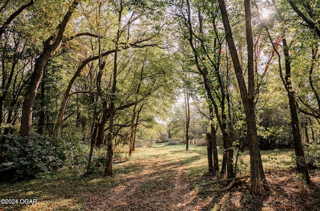 2652 S Farm Rd 51, Republic, MO 65738 - view of tree filled area
