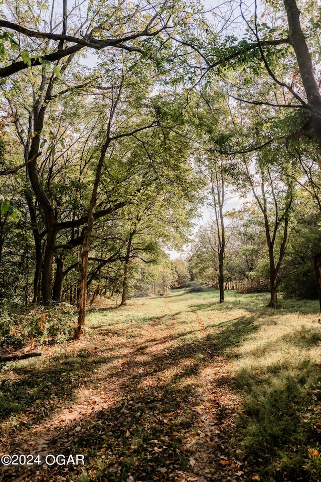 2652 S Farm Rd 51, Republic, MO 65738 - view of tree filled area