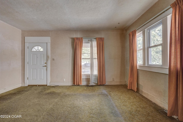 carpeted entryway featuring a wealth of natural light and a textured ceiling