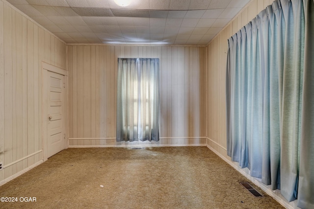 carpeted empty room featuring wood walls