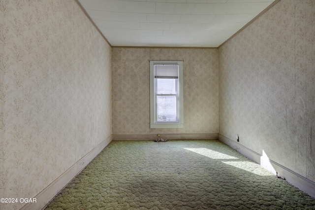 spare room with crown molding and carpet flooring