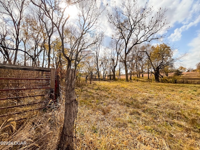 view of yard with a rural view