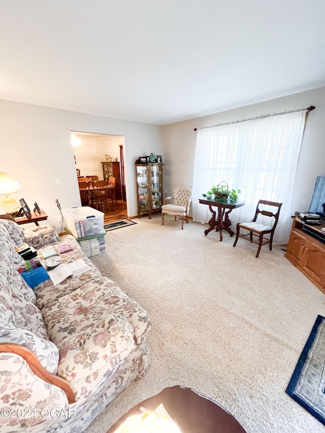 living room with carpet flooring