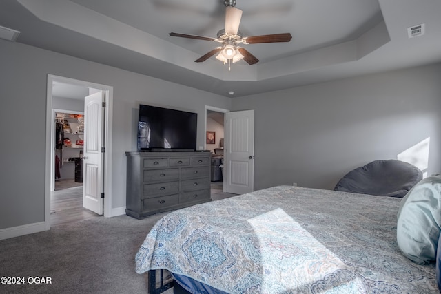 carpeted bedroom with a spacious closet, a raised ceiling, and ceiling fan