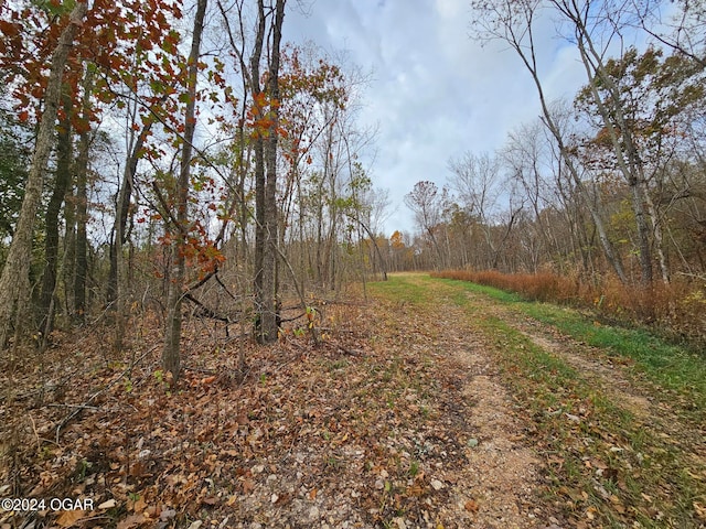 Listing photo 2 for 6.76AC Town Hollow Rd, Anderson MO 64831