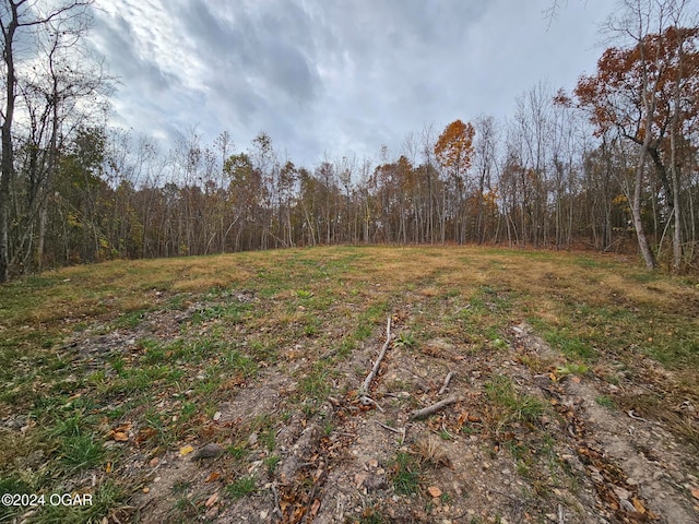 Listing photo 3 for 6.76AC Town Hollow Rd, Anderson MO 64831