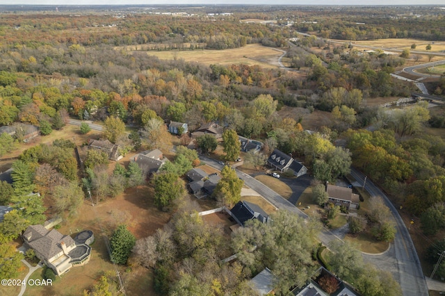 bird's eye view