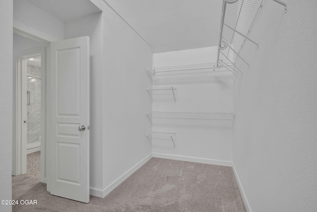 walk in closet featuring light colored carpet