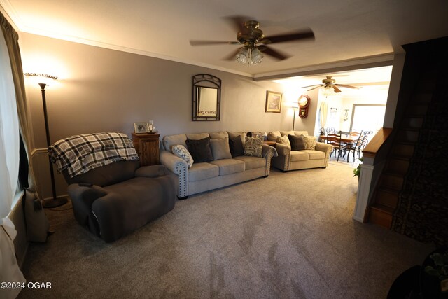 carpeted living room with ceiling fan and ornamental molding