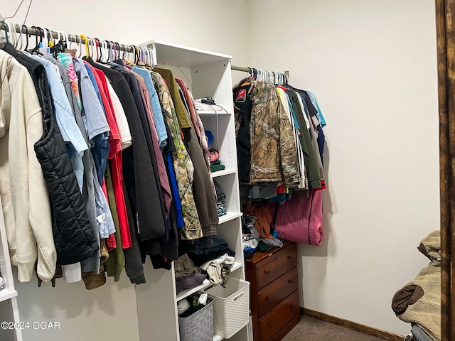 walk in closet featuring carpet flooring