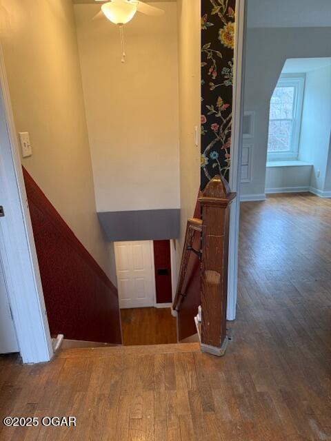 stairway featuring a ceiling fan, baseboards, and wood finished floors