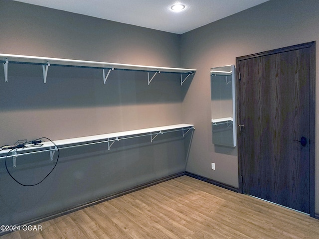 walk in closet with light hardwood / wood-style flooring