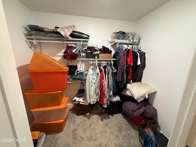 spacious closet with carpet flooring