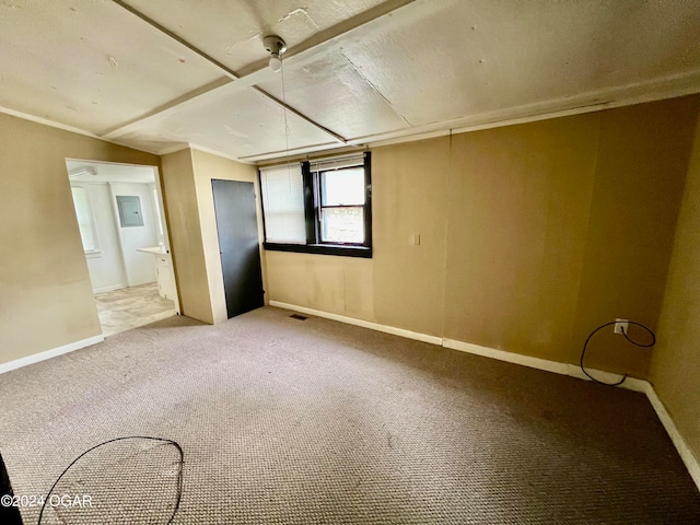 interior space with carpet floors and crown molding