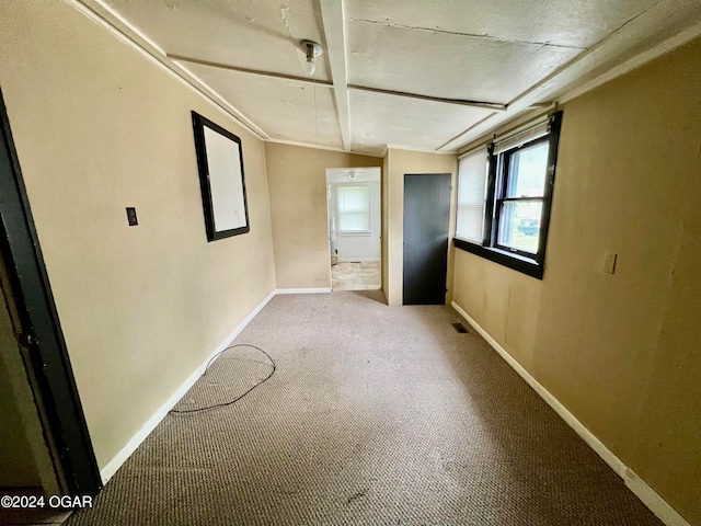 empty room featuring ornamental molding and light carpet