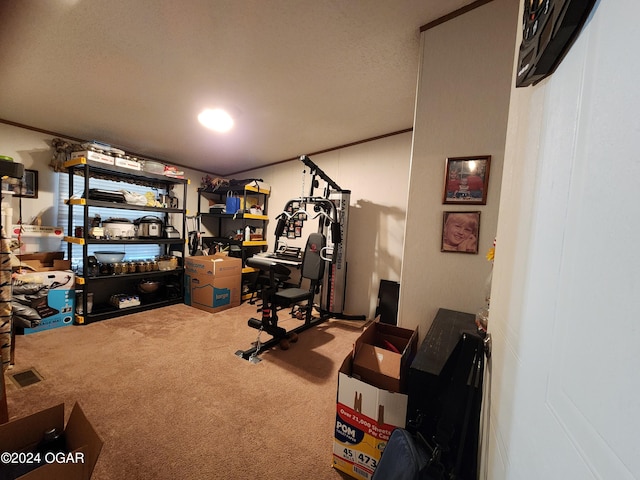 exercise area with carpet floors