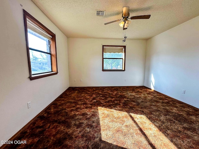 unfurnished room with carpet, a textured ceiling, and a wealth of natural light