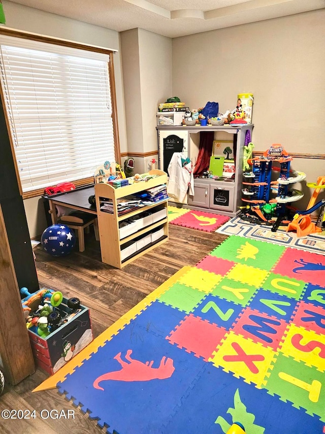 game room with wood-type flooring and a textured ceiling