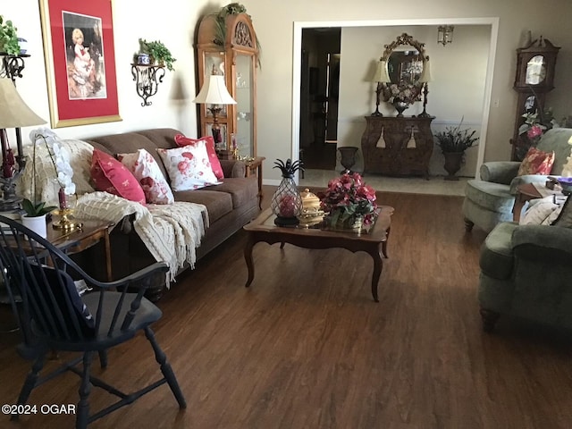 living room with hardwood / wood-style flooring