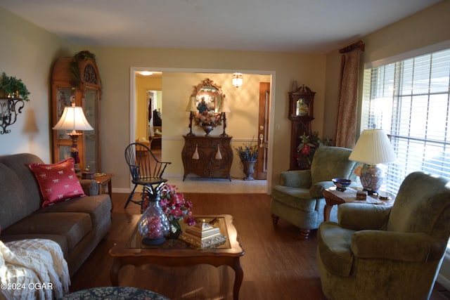 living room featuring hardwood / wood-style flooring and plenty of natural light