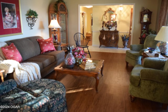 living room featuring hardwood / wood-style flooring