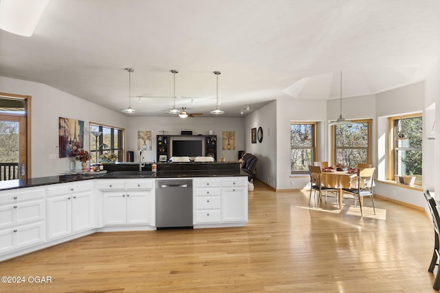 kitchen featuring pendant lighting, light hardwood / wood-style flooring, stainless steel dishwasher, and a wealth of natural light