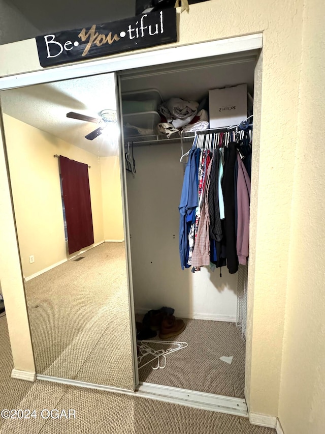 view of closet