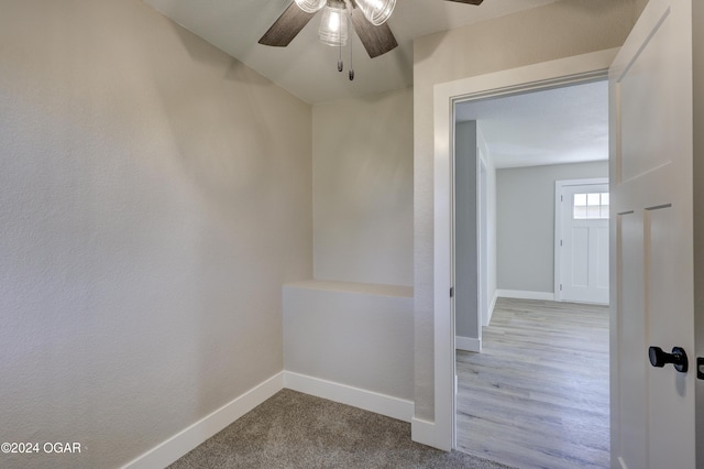 hall featuring wood-type flooring