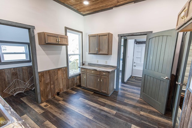 kitchen with wooden walls, a wealth of natural light, dark wood-type flooring, and wood ceiling