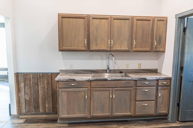 kitchen featuring sink and dark wood-type flooring