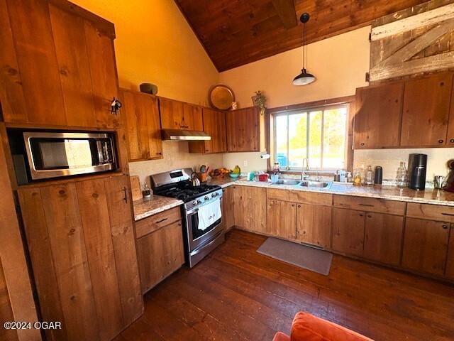 kitchen with dark hardwood / wood-style flooring, stainless steel appliances, sink, decorative light fixtures, and high vaulted ceiling