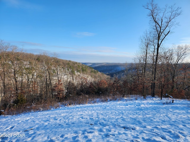 view of mountain feature