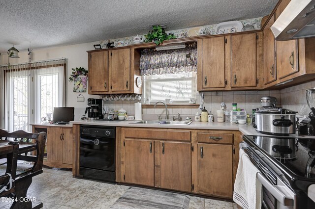 kitchen featuring ventilation hood, a healthy amount of sunlight, sink, and black dishwasher