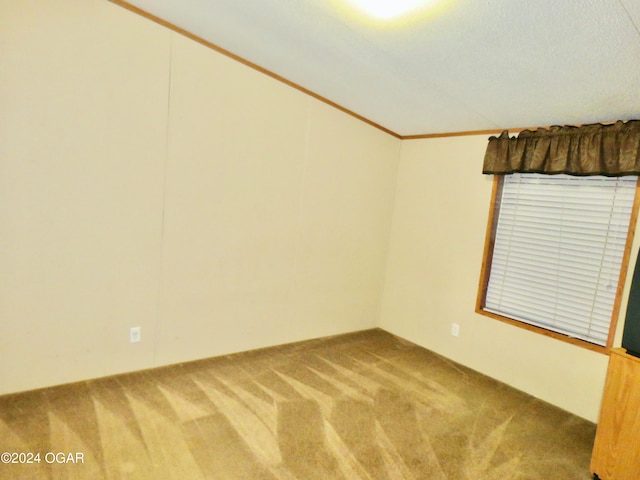 empty room featuring carpet flooring, a textured ceiling, and ornamental molding