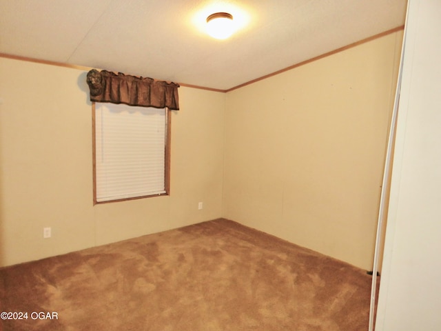 carpeted spare room with ornamental molding