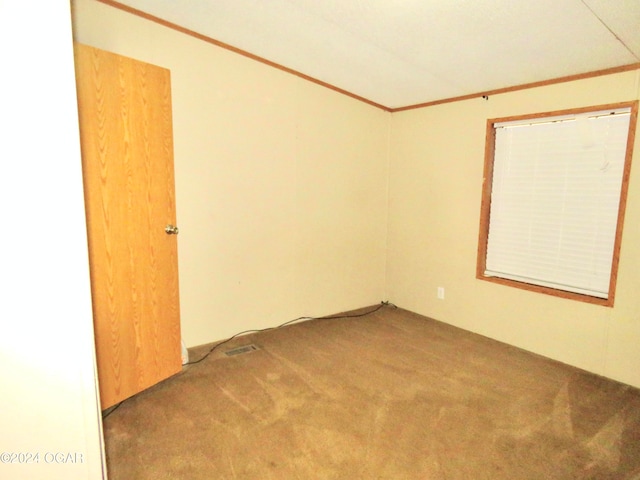 empty room with crown molding and carpet