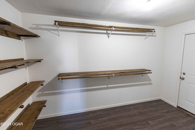 spacious closet with dark wood-type flooring